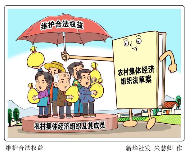 事关广大农民利益，农村集体经济组织法5月1日起施行