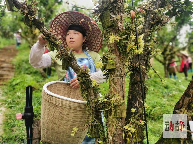 贵州锦屏县委原书记舒健已任黔东南州政府办主任
