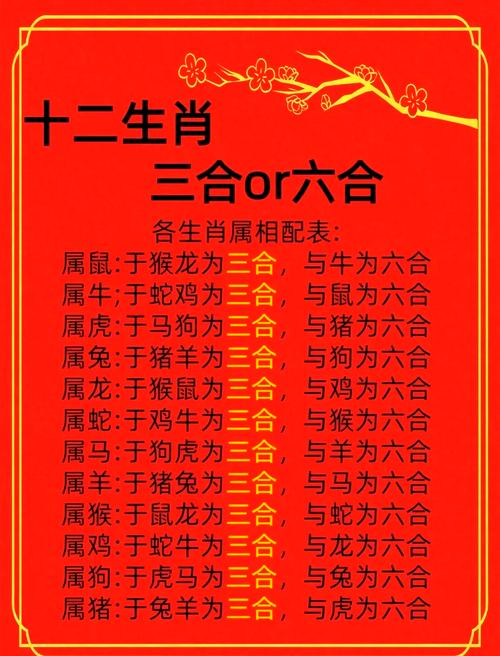一码一肖,100%精准生肖第六,揭秘神秘生肖预测术